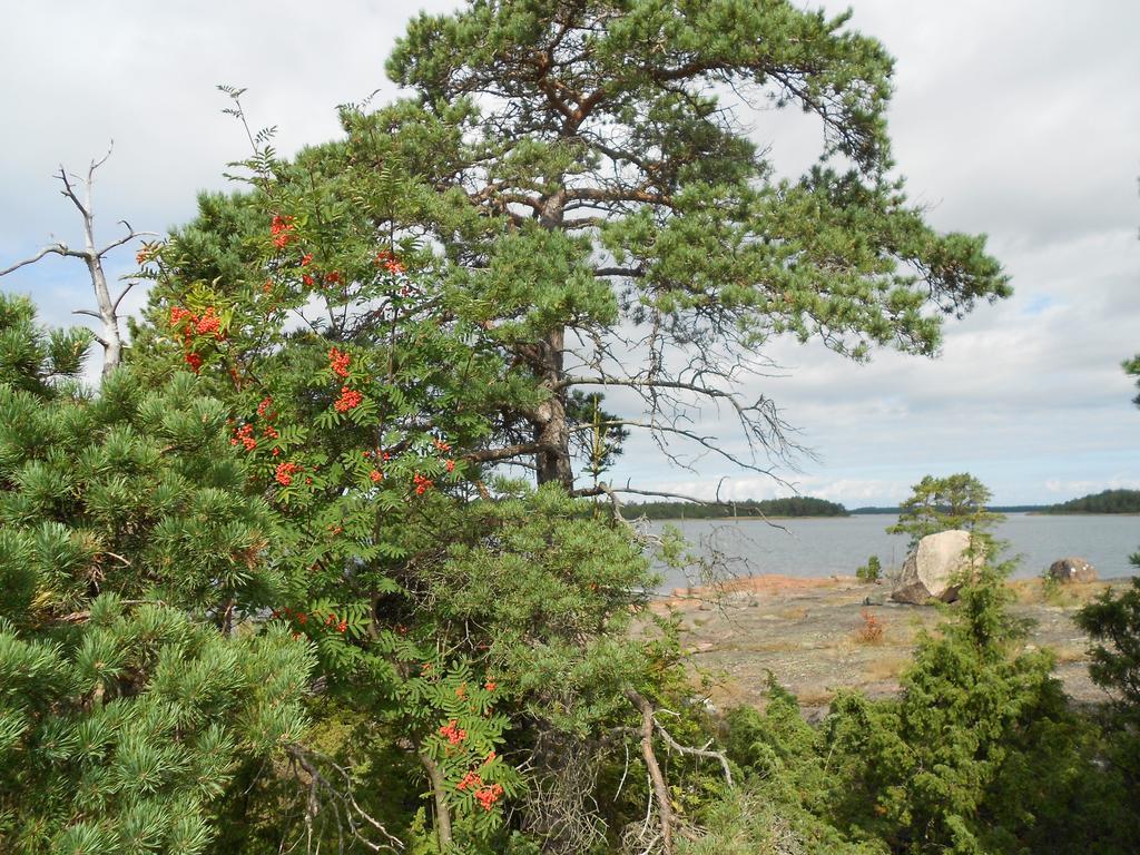 Tornvillan Hammarland Pokoj fotografie